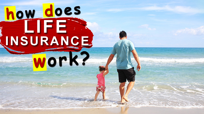 How Does Life Insurance Work Eggstack 3693